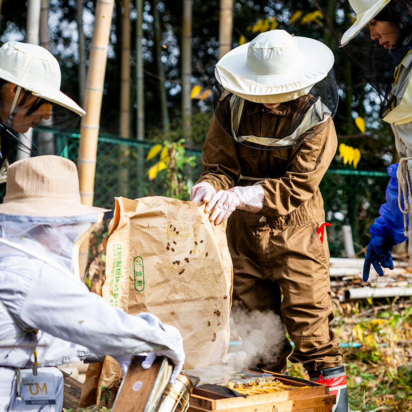 women-for-bees-jp